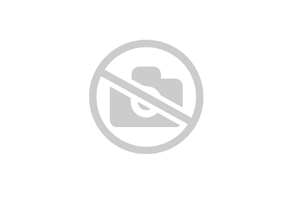 BE.LIVE COMPANY – PREDAJ – RODINNÝ DOM NA VÝNIMOČNE VEĽKOM POZEMKU 2 287 m²– VLKY PRI TOMÁŠOVE