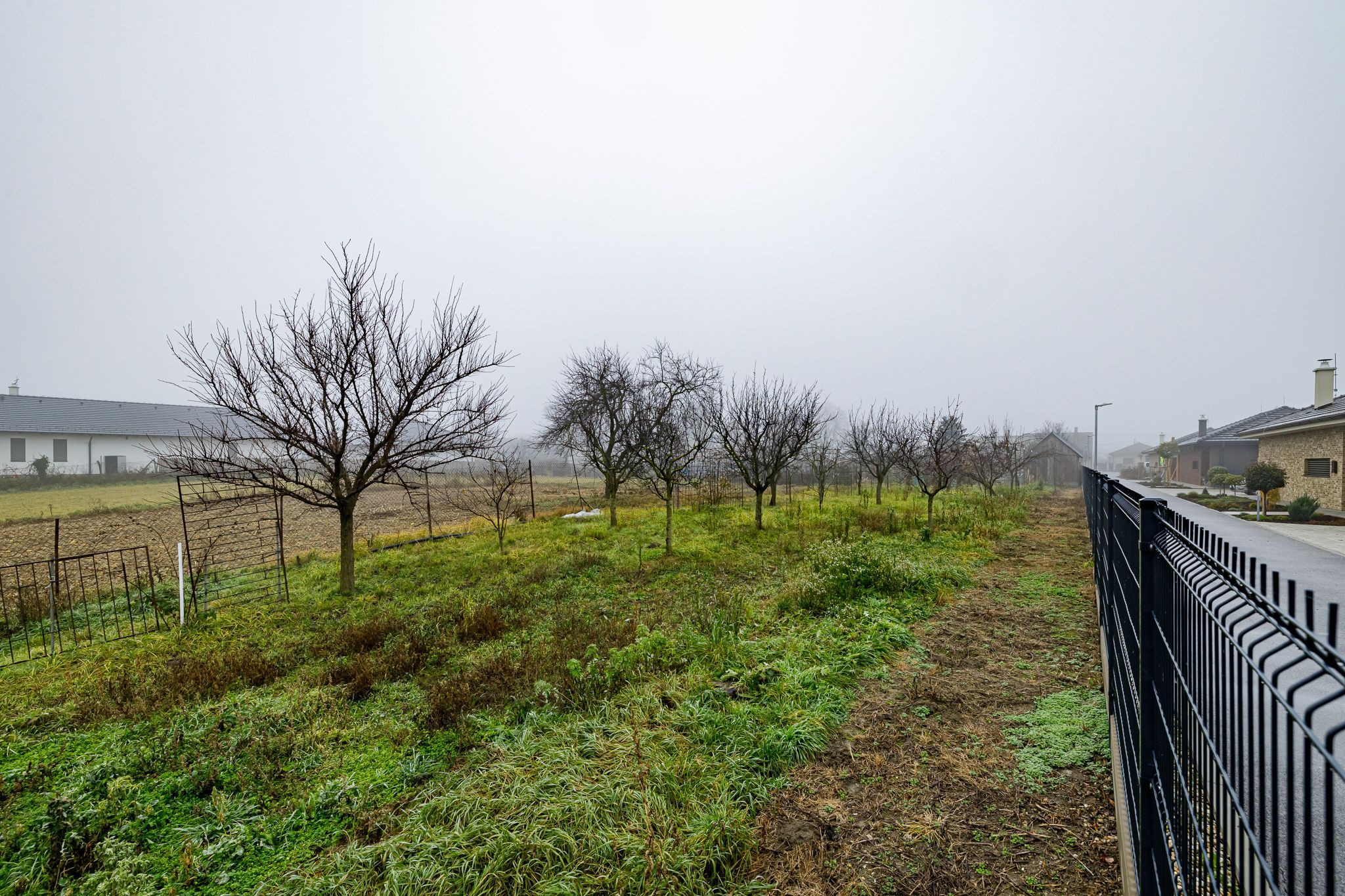 BE.LIVE COMPANY- PREDAJ- INVESTIČNÝ- STAVEBNÝ- POZEMOK- 2287m²- VLKY- TOMÁŠOV