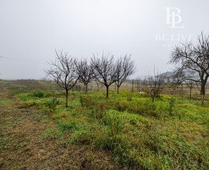 BE.LIVE COMPANY- PREDAJ- STAVEBNÝ- POZEMOK 2287m²- RODINNÝ DOM- VLKY- TOMÁŠOV 