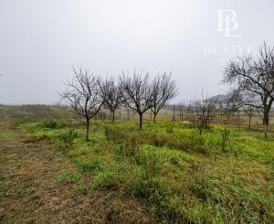 BE.LIVE COMPANY- PREDAJ- INVESTIČNÝ- STAVEBNÝ- POZEMOK- 2287m²- TOMÁŠOV- VLKY