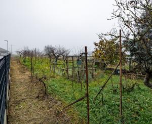 BE.LIVE COMPANY- PREDAJ- RODINNÝ DOM- VEĽKÝ POZEMOK- 2287m2- VLKY- PRI TOMÁŠOVE- SENEC 