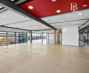BE.LIVE COMPANY– PRENÁJOM– ADMINISTRATÍVNA BUDOVA– SHOWROOM- KANCELÁRIE- NOVOZÁMOCKÁ, NITRA