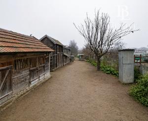 BE.LIVE COMPANY- PREDAJ- RODINNÝ DOM- VÝNIMOČNE VEĽKÝ POZEMOK- GARÁŽ- ZÁHRADA- VLKY- TOMÁŠOV- SENEC