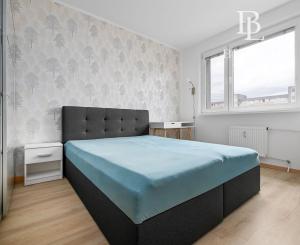 BE.LIVE COMPANY- PREDAJ- 4- IZBOVÝ – TOPOLČIANSKA- PETRŽALKA