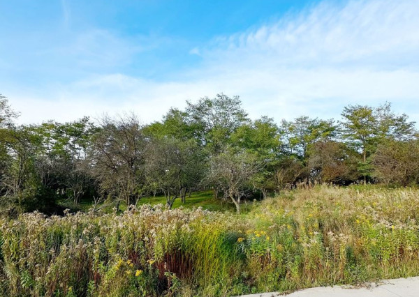 EXKLUZÍVNY STAVEBNÝ POZEMOK V NAJPRESTÍŽNEJŠEJ ČASTI STUPAVY 