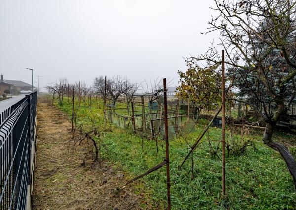 BE.LIVE COMPANY- PREDAJ- INVESTIČNÝ- STAVEBNÝ- POZEMOK- 2287m²- TOMÁŠOV- VLKY