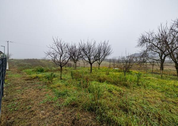 BE.LIVE COMPANY- PREDAJ- INVESTIČNÝ- STAVEBNÝ- POZEMOK- 2287m²- TOMÁŠOV- VLKY