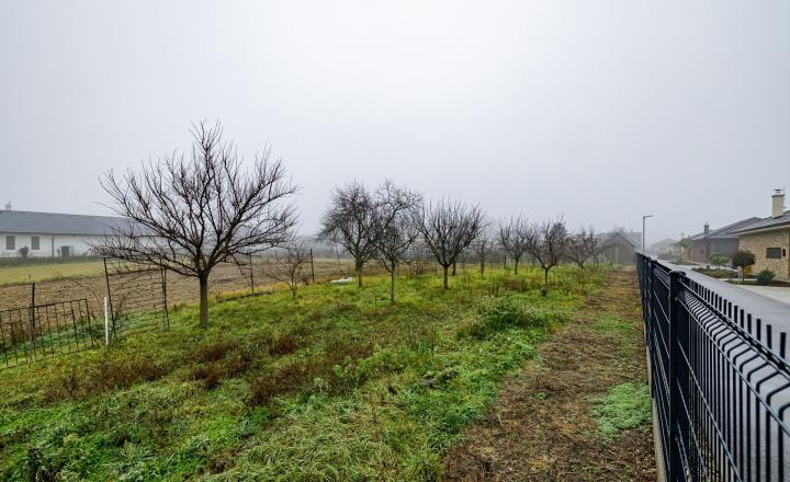 BE.LIVE COMPANY- PREDAJ- INVESTIČNÝ- STAVEBNÝ- POZEMOK- 2287m²- TOMÁŠOV- VLKY - fotografia 5