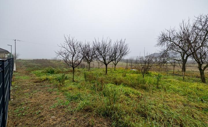BE.LIVE COMPANY- PREDAJ- INVESTIČNÝ- STAVEBNÝ- POZEMOK- 2287m²- TOMÁŠOV- VLKY - fotografia 6